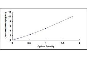 Typical standard curve (THRSP ELISA 试剂盒)