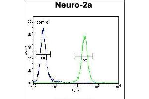 Flow cytometric analysis of Neuro-2a cells (right histogram) compared to a negative control cell (left histogram). (CEP89 抗体  (C-Term))