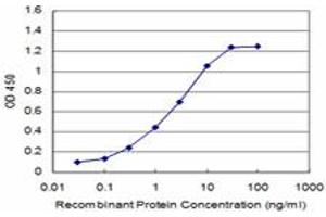 ELISA image for anti-DEAD (Asp-Glu-Ala-Asp) Box Polypeptide 56 (DDX56) (AA 450-548) antibody (ABIN599259) (DDX56 抗体  (AA 450-548))
