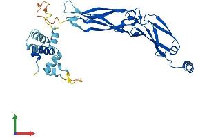 Protein Structure (PS) image for DnaJ (Hsp40) Homolog, Subfamily B, Member 13 (DNAJB13) (AA 1-316) protein (His tag) (ABIN7547151)