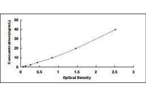ELISA image for Adiponectin (ADIPOQ) ELISA Kit (ABIN414161)
