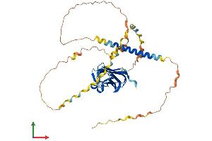Protein Structure (PS) image for Ectodysplasin A (EDA) (AA 1-391) protein (His tag) (ABIN7562399)