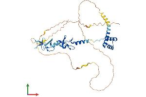 Protein Structure (PS) image for LIM Homeobox 3 (LHX3) (AA 1-397) protein (His tag) (ABIN7548982)
