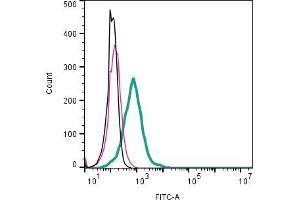 Cell surface detection of Adenosine A1 Receptor by direct flow cytometry in live intact mouse J774 macrophage cell line: + Rabbit IgG Isotype Control-FITC (ABIN7582044). (ADORA1 抗体  (Extracellular) (FITC))