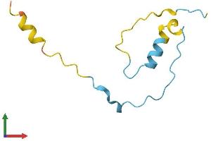 Protein Structure (PS) image for CDC42 Small Effector 2 (CDC42SE2) (AA 1-84) protein (Fc Tag) (ABIN7558557)