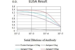 Black line: Control Antigen (100 ng),Purple line: Antigen (10 ng), Blue line: Antigen (50 ng), Red line:Antigen (100 ng) (PINK1 抗体  (AA 112-273))