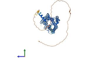 AlphaFold protein structure predicition of Mouse Recombinant Adora2a Protein, UniprotID Q60613