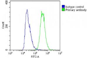 Overlay histogram showing A431 cells stained with (ABIN6242879 and ABIN6578848)(green line). (TGFA 抗体  (AA 118-150))