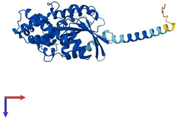 GNAL Protein (AA 1-381) (His tag)