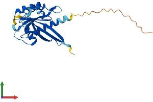 Protein Structure (PS) image for RAB38, Member RAS Oncogene Family (RAB38) (AA 1-211) protein (His tag) (ABIN7551206)