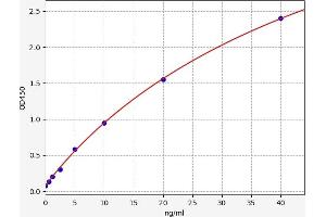 CYP17A1 ELISA 试剂盒