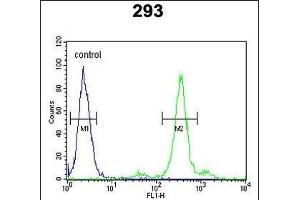 PGD Antibody (Center) (ABIN651639 and ABIN2840342) flow cytometric analysis of 293 cells (right histogram) compared to a negative control cell (left histogram). (PGD 抗体  (AA 236-265))