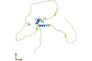 Protein Structure (PS) image for Frequently Rearranged in Advanced T-Cell Lymphomas (FRAT1) (AA 1-274) protein (His tag) (ABIN7556701)