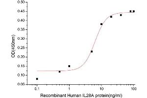 Activity Assay (AcA) image for Interleukin 28A (Interferon, lambda 2) (IL28A) (AA 26-200) (Active) protein (His tag) (ABIN7607154)