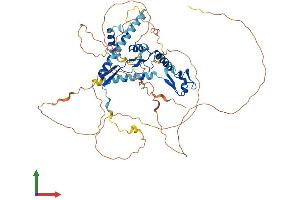 AlphaFold protein structure predicition of Human Recombinant CSRNP1 Protein, UniprotID Q96S65