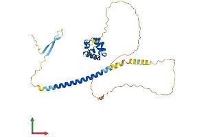 Protein Structure (PS) image for Sex Comb On Midleg-Like 1 (SCML1) (AA 1-329) protein (His tag) (ABIN7551698)
