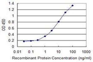 Detection limit for recombinant GST tagged KCNIP1 is 0. (KCNIP1 抗体  (AA 1-216))