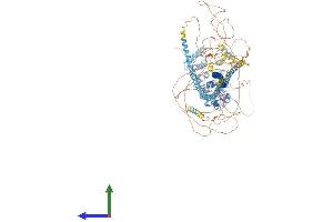 Protein Structure (PS) image for Tuberous Sclerosis 1 (TSC1) (AA 1-1164) protein (His tag) (ABIN7555879)