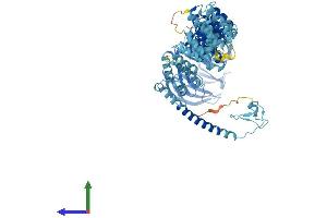 Protein Structure (PS) image for Transforming Growth Factor, beta Receptor Associated Protein 1 (TGFBRAP1) (AA 1-860) protein (His tag) (ABIN7555720)