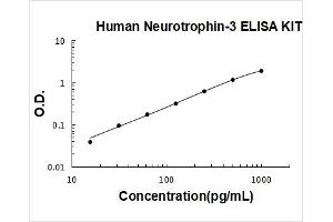 Human Neurotrophin-3 PicoKine ELISA Kit standard curve