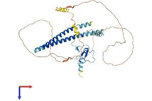 ING3 Protein (AA 1-421) (His tag)