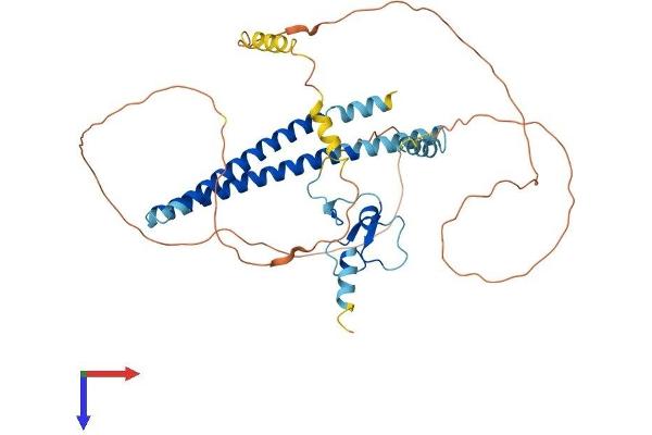 ING3 Protein (AA 1-421) (His tag)