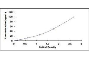 Typical standard curve (CD8B ELISA 试剂盒)