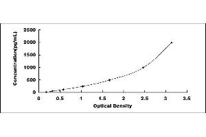 beta 2 Defensin ELISA 试剂盒