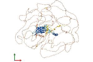 Protein Structure (PS) image for Rab11 Family-Interacting Protein 1 (RAB11FIP1) (AA 1-1283) protein (His tag) (ABIN7555208)