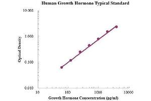 ELISA image for Growth Hormone 1 (GH1) ELISA Kit (ABIN3198541) (Growth Hormone 1 ELISA 试剂盒)