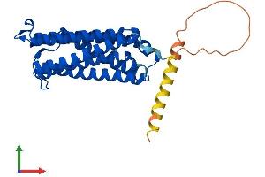 AlphaFold protein structure predicition of Human Recombinant CYBRD1 Protein, UniprotID Q53TN4