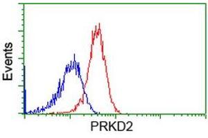 Flow Cytometry (FACS) image for anti-Protein Kinase D2 (PKD2) antibody (ABIN1500414) (PKD2 抗体)