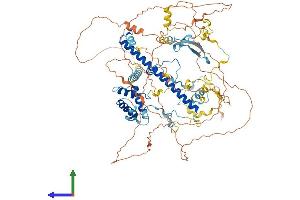 AlphaFold protein structure predicition of Human Recombinant EPC1 Protein, UniprotID Q9H2F5
