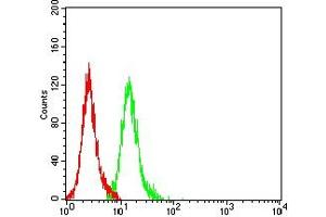 Flow cytometric analysis of Hela cells using KDM1A mouse mAb (green) and negative control (red).