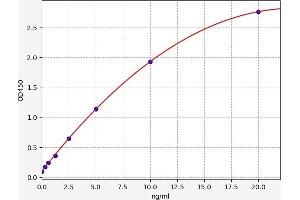 Typical standard curve (HOGA1 ELISA 试剂盒)