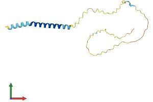 Protein Structure (PS) image for SLP Adaptor and CSK Interacting Membrane Protein (SCIMP) (AA 1-145) protein (His tag) (ABIN7545892)