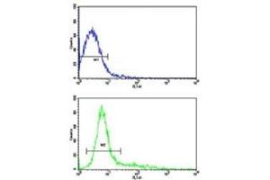 Flow cytometric analysis of Jurkat cells using CD9 antibody (bottom histogram) compared to a negative control (top histogram). (CD9 抗体  (AA 21-51))
