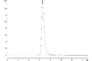 Size-exclusion chromatography-High Pressure Liquid Chromatography (SEC-HPLC) image for CD7 (CD7) (AA 26-180) protein (His-Avi Tag,Biotin) (ABIN7274232)