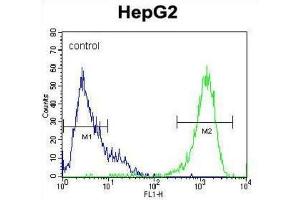 MAPK1 Antibody flow cytometric analysis of HepG2 cells (right histogram) compared to a negative control cell (left histogram). (ERK2 抗体  (C-Term))