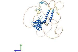 Protein Structure (PS) image for Nucleoporin 50kDa (NUP50) (AA 1-466) protein (His tag) (ABIN7561547)