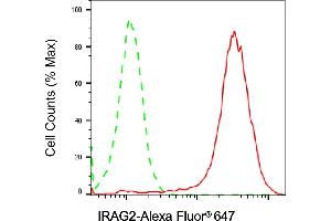 anti-IRAG2 antibody