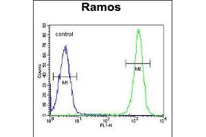 Flow cytometric analysis of Ramos cells (right histogram) compared to a negative control cell (left histogram). (ETFA 抗体  (C-Term))