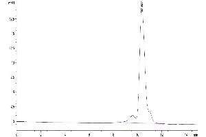 Size-exclusion chromatography-High Pressure Liquid Chromatography (SEC-HPLC) image for Tumor-Associated Calcium Signal Transducer 2 (TACSTD2) (AA 27-274) protein (His-Avi Tag,Biotin) (ABIN7275796)