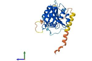 Protein Structure (PS) image for ADP-Ribosylation Factor-Like 10 (ARL10) (AA 1-244) protein (His tag) (ABIN7552336)