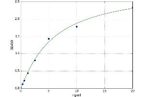 A typical standard curve (IRF3 ELISA 试剂盒)