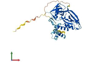 AlphaFold protein structure predicition of Mouse Recombinant Gipc3 Protein, UniprotID Q8R5M0