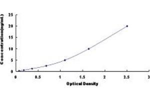 Typical standard curve (NET1 ELISA 试剂盒)