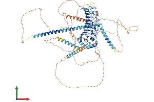 Protein Structure (PS) image for Centrosomal Protein 97kDa (CEP97) (AA 1-856) protein (His tag) (ABIN7564963)