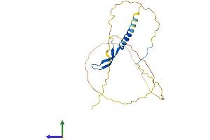 Protein Structure (PS) image for B-Cell CLL/lymphoma 7A (BCL7A) (AA 1-210) protein (His tag) (ABIN7552698)