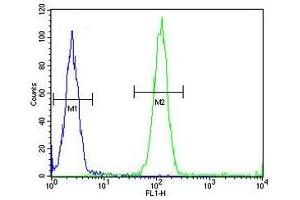 ACCN1 antibody flow cytometric analysis (intracellular) of human WiDr cells (right histogram) compared to a negative control (left histogram). (ACCN1 抗体  (AA 120-148))